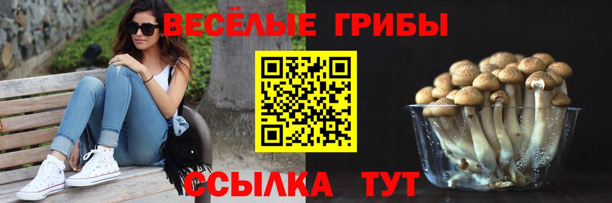 Псилоцибиновые грибы мицелий Кулебаки